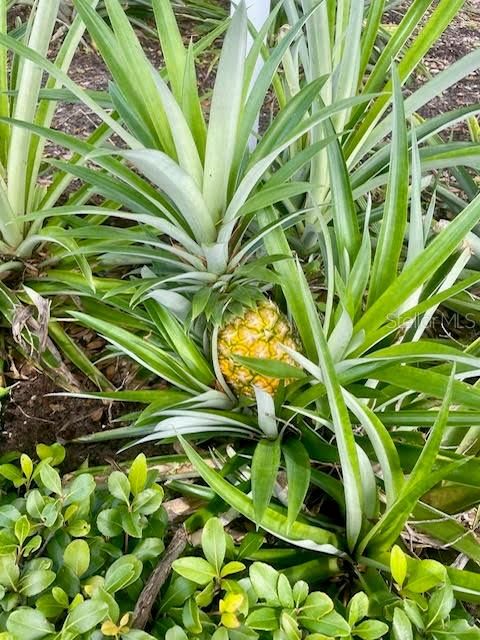 For Sale: $399,000 (3 beds, 2 baths, 1607 Square Feet)