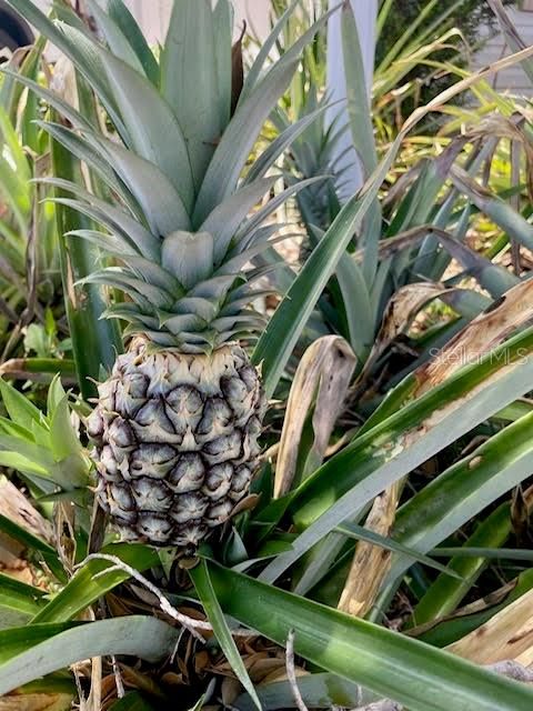 For Sale: $399,000 (3 beds, 2 baths, 1607 Square Feet)