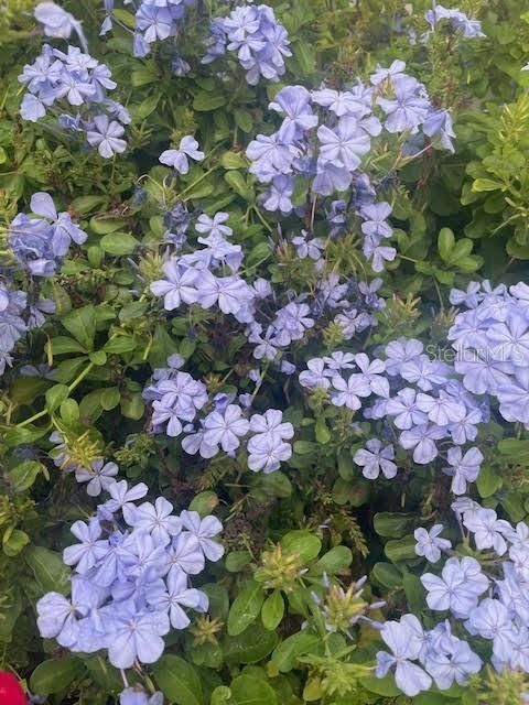 For Sale: $399,000 (3 beds, 2 baths, 1607 Square Feet)