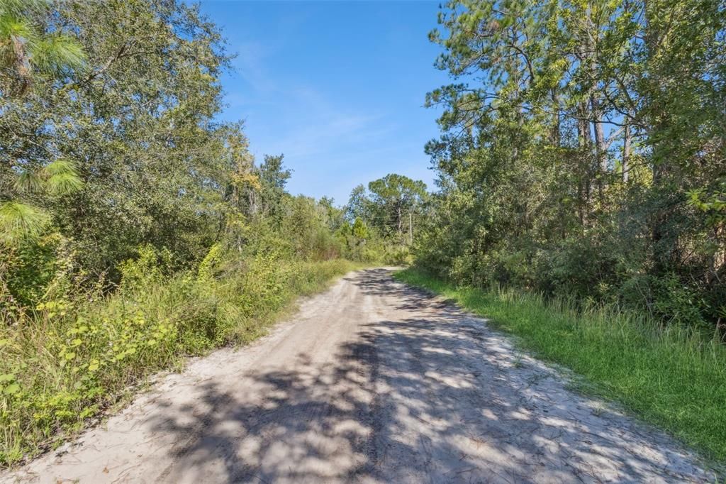 For Sale: $55,000 (3.53 acres)