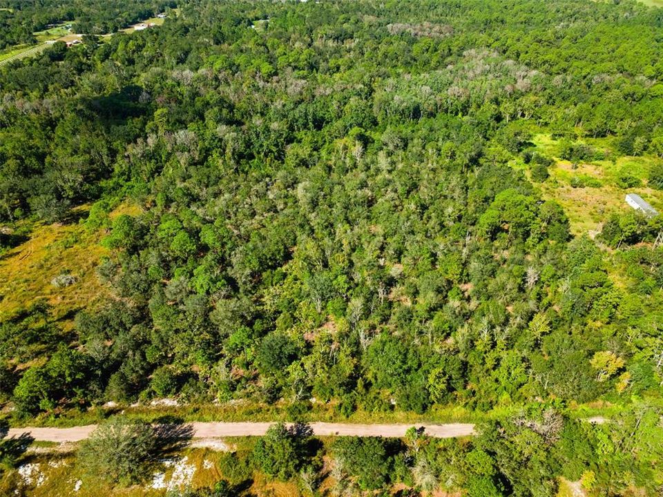 For Sale: $55,000 (3.53 acres)