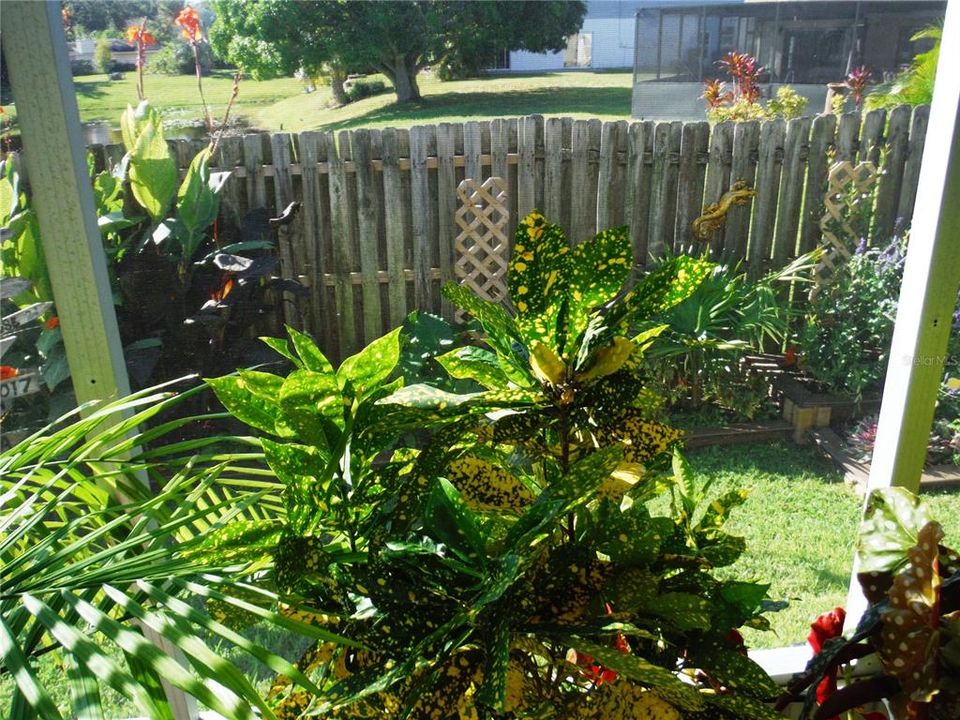 Под контрактом: $225,000 (2 спален, 2 ванн, 1056 Квадратных фут)