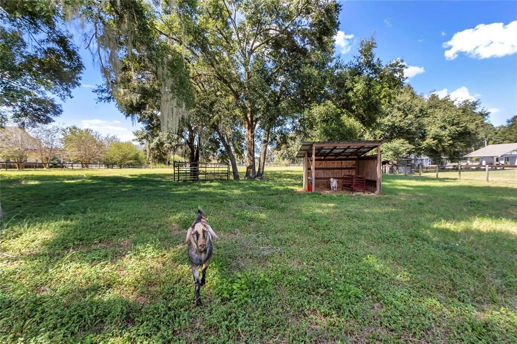 待售: $449,000 (3 贝兹, 2 浴室, 2024 平方英尺)