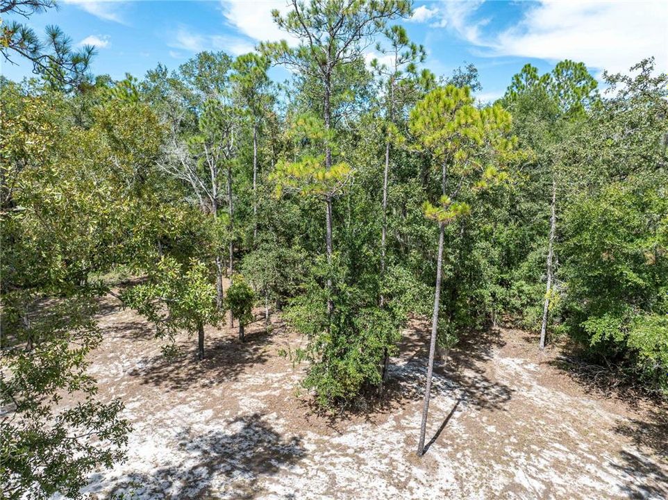 На продажу: $440,000 (5 спален, 3 ванн, 2136 Квадратных фут)