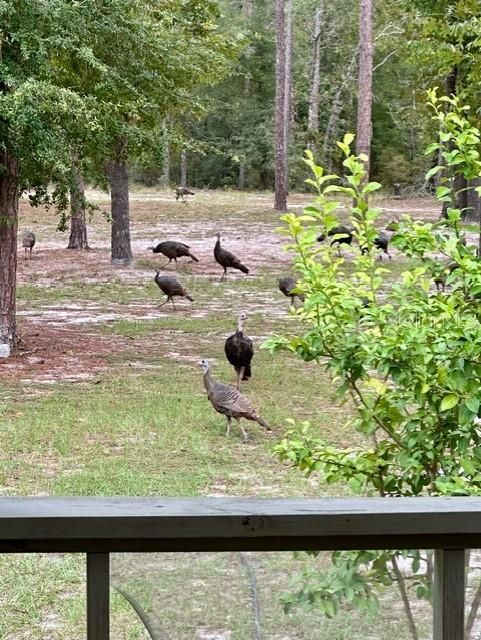 На продажу: $440,000 (5 спален, 3 ванн, 2136 Квадратных фут)