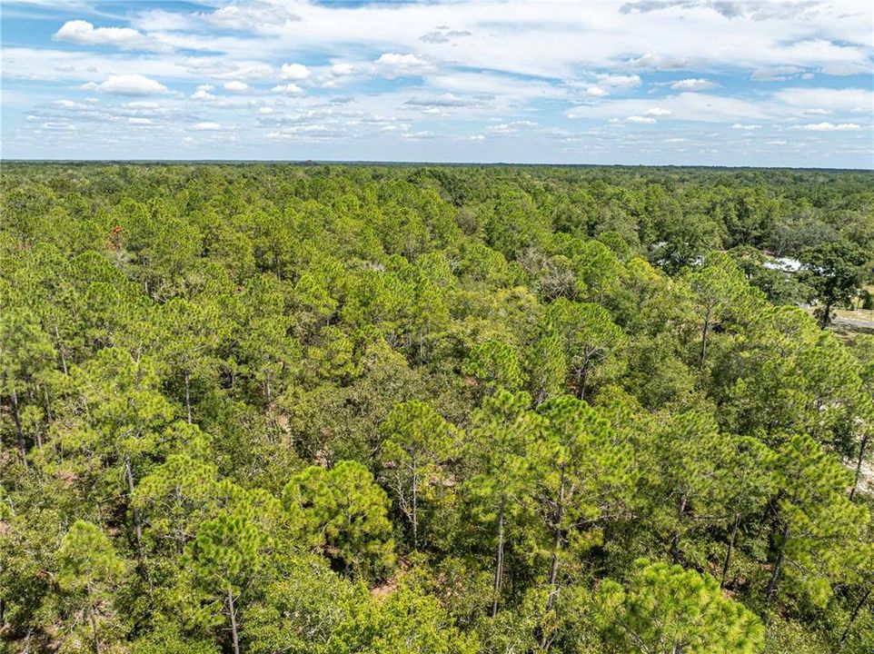 На продажу: $440,000 (5 спален, 3 ванн, 2136 Квадратных фут)