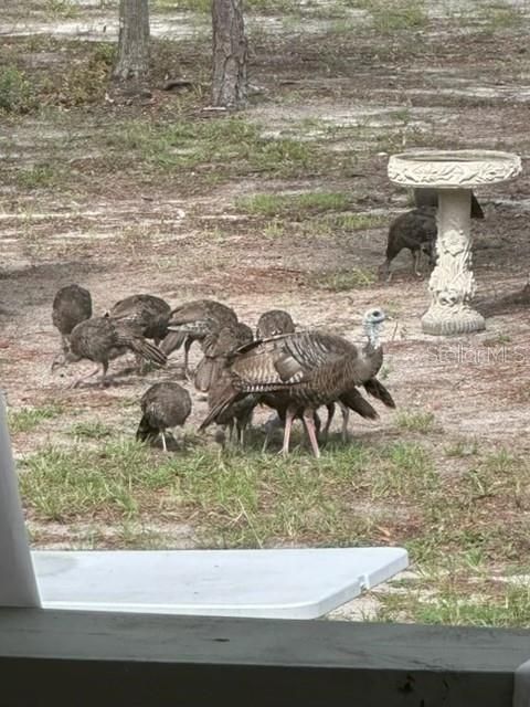 На продажу: $440,000 (5 спален, 3 ванн, 2136 Квадратных фут)