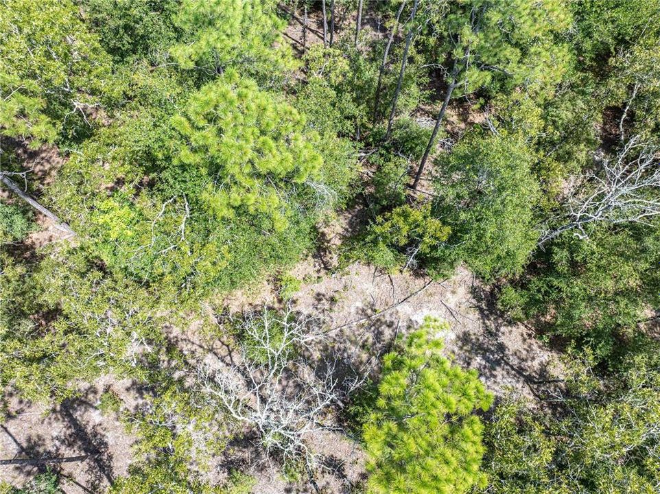 На продажу: $440,000 (5 спален, 3 ванн, 2136 Квадратных фут)