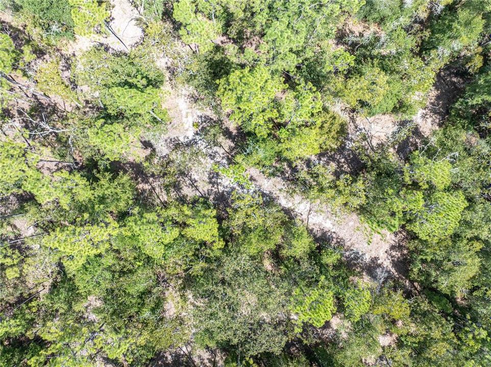 На продажу: $440,000 (5 спален, 3 ванн, 2136 Квадратных фут)