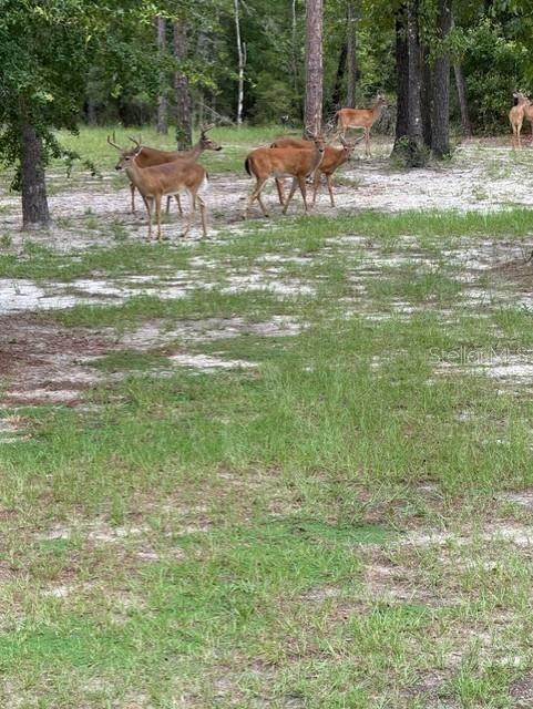 На продажу: $440,000 (5 спален, 3 ванн, 2136 Квадратных фут)