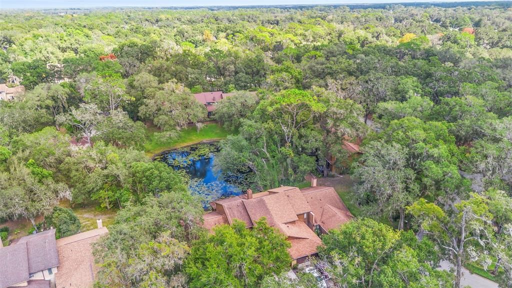 待售: $299,900 (3 贝兹, 2 浴室, 1920 平方英尺)