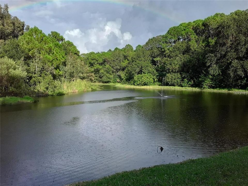 出租: $1,439 (1 贝兹, 1 浴室, 525 平方英尺)