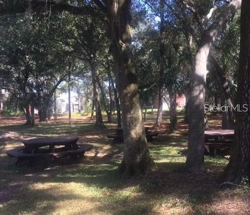 出租: $1,439 (1 贝兹, 1 浴室, 525 平方英尺)