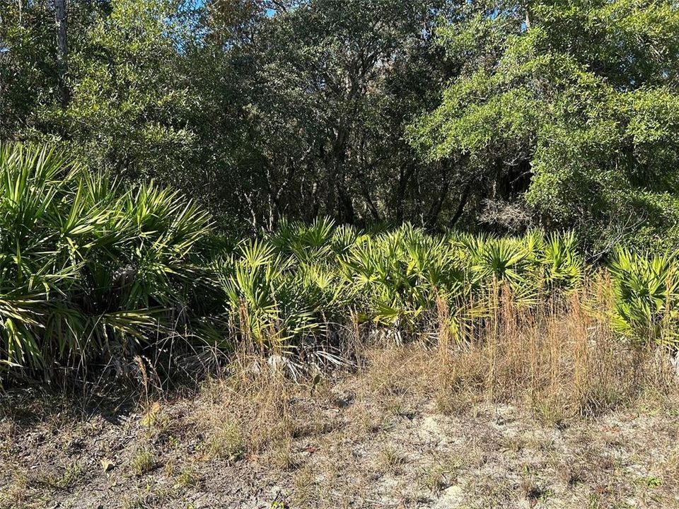 待售: $37,900 (0.90 acres)