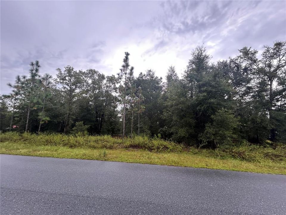 待售: $49,000 (0.46 acres)