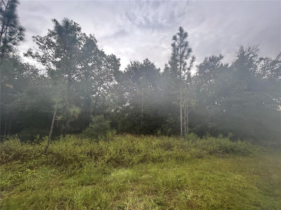 待售: $49,000 (0.46 acres)