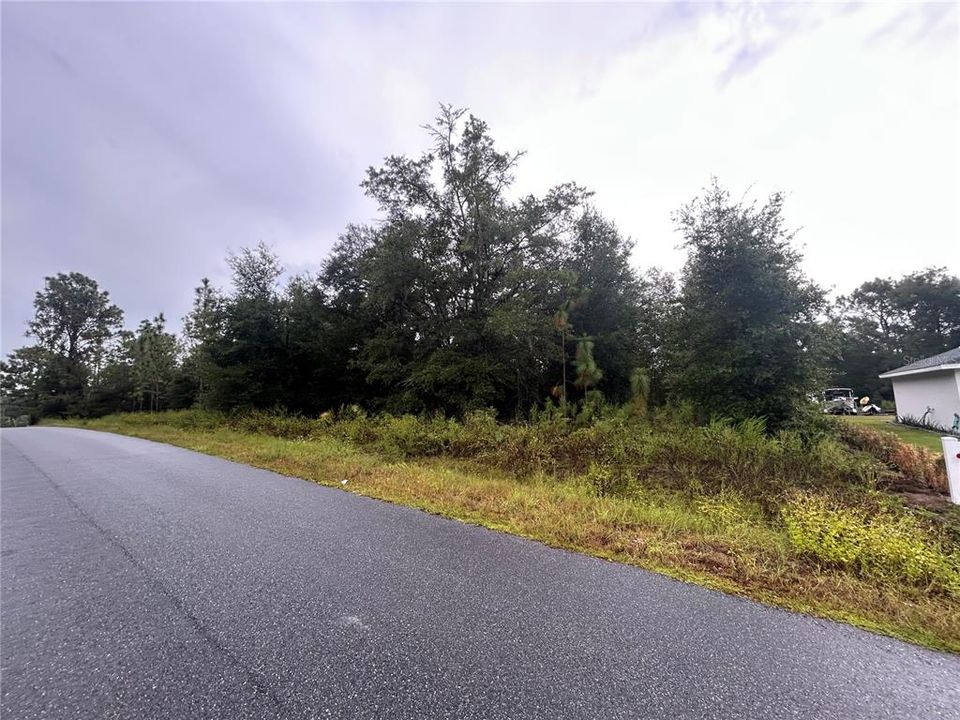 待售: $49,000 (0.46 acres)