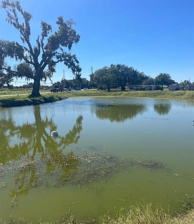 На продажу: $295,000 (3.66 acres)