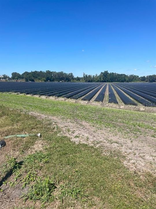 На продажу: $295,000 (3.66 acres)