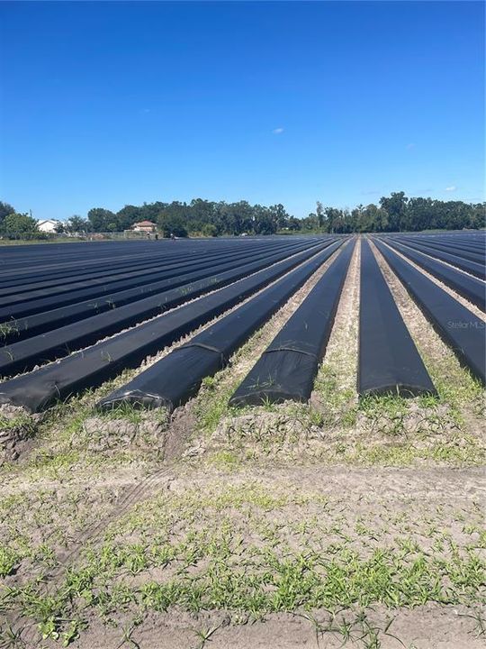 На продажу: $295,000 (3.66 acres)