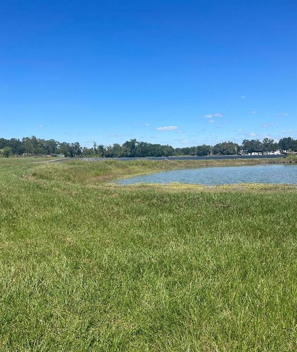 На продажу: $295,000 (3.66 acres)