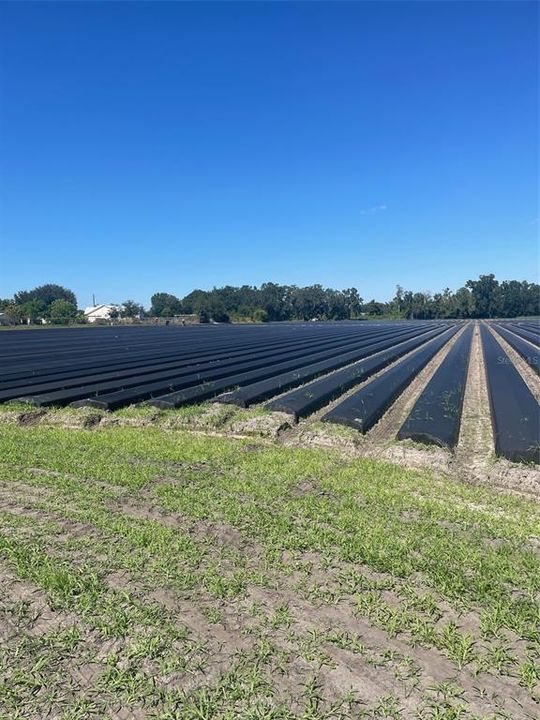 На продажу: $295,000 (3.66 acres)