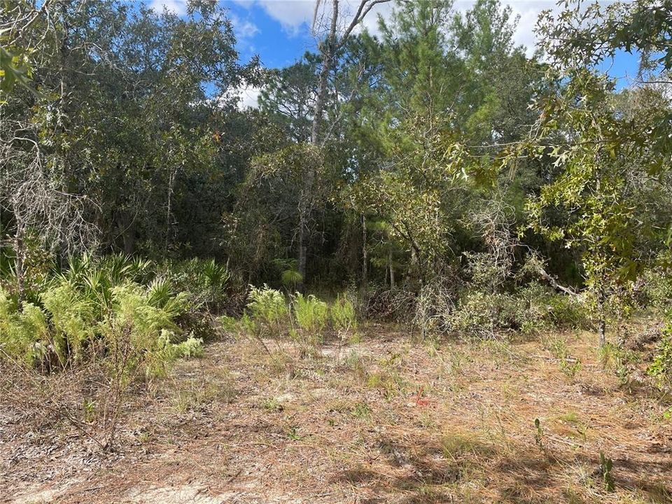 For Sale: $37,999 (1.01 acres)