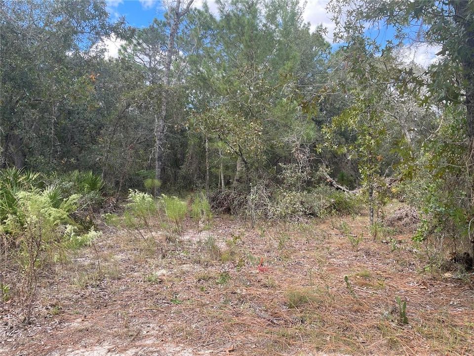 For Sale: $37,999 (1.01 acres)