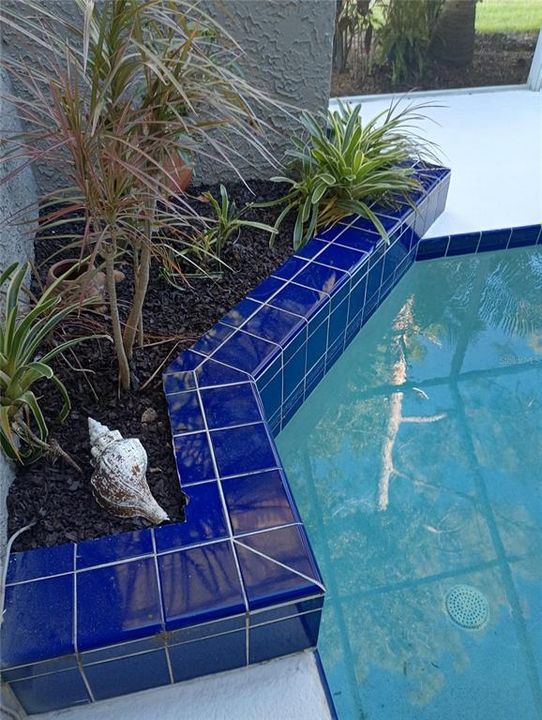 Под контрактом: $509,000 (4 спален, 3 ванн, 2060 Квадратных фут)