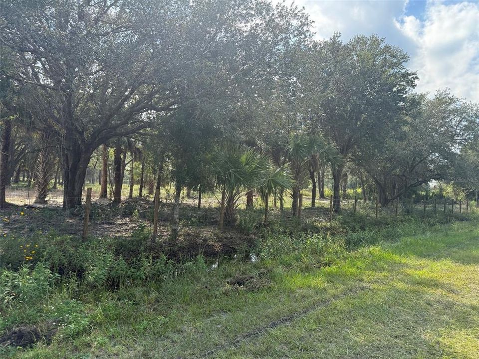 For Sale: $255,500 (5.00 acres)