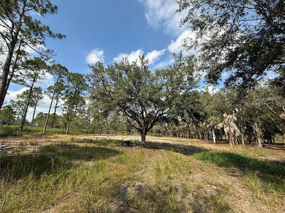 For Sale: $255,500 (5.00 acres)