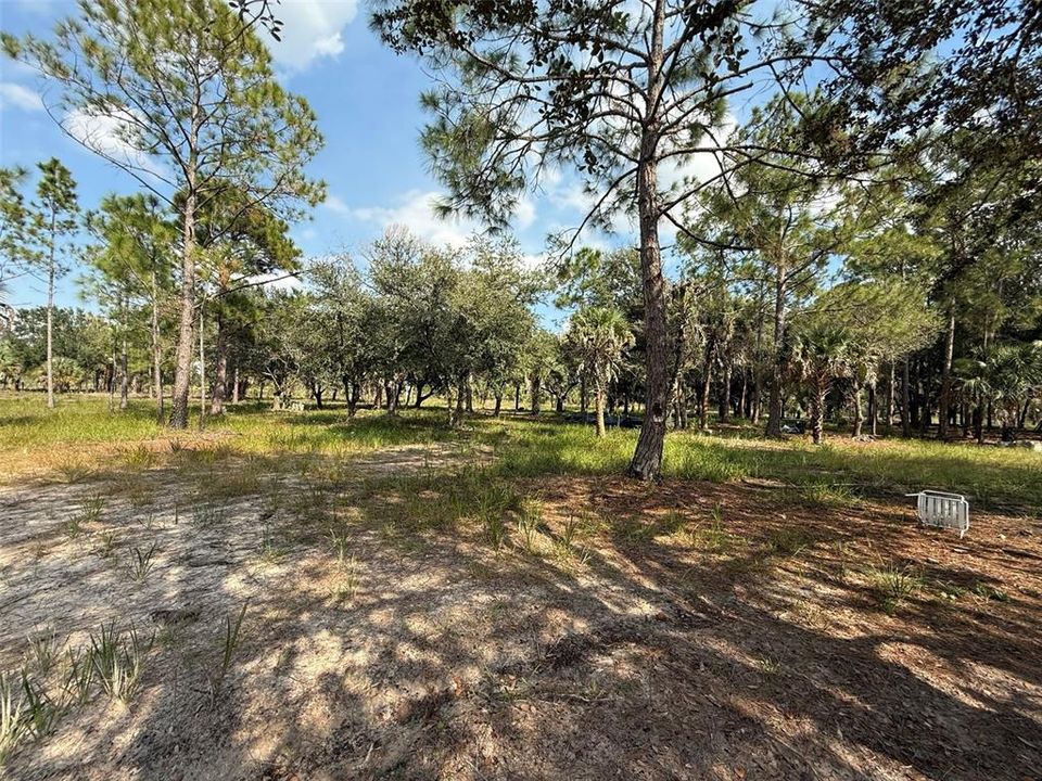 For Sale: $255,500 (5.00 acres)