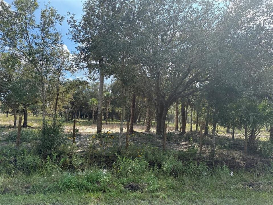 For Sale: $255,500 (5.00 acres)