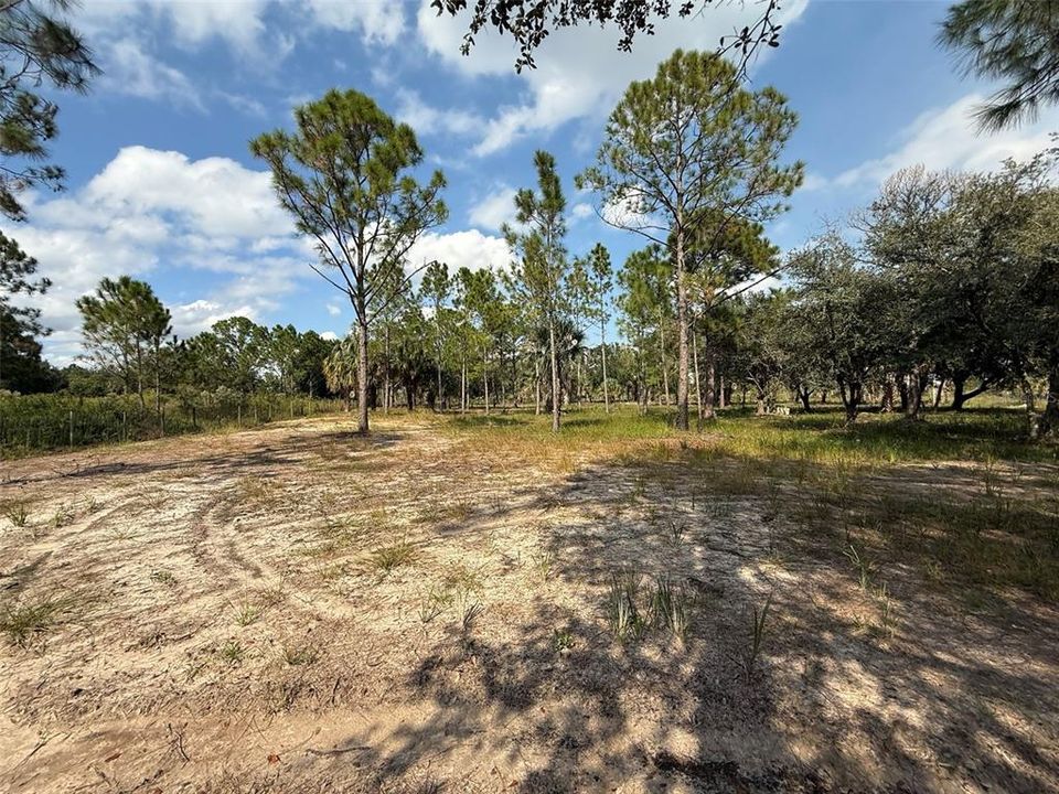 For Sale: $255,500 (5.00 acres)