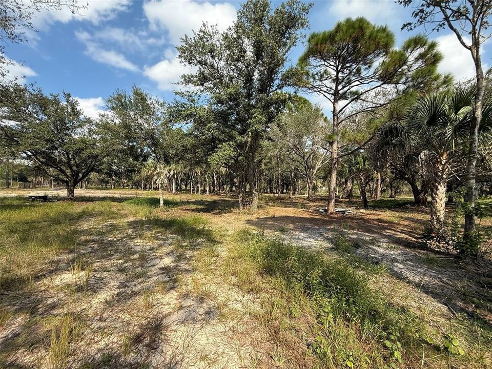 For Sale: $255,500 (5.00 acres)