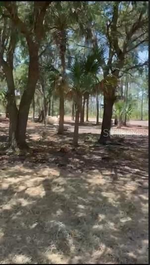 For Sale: $255,500 (5.00 acres)