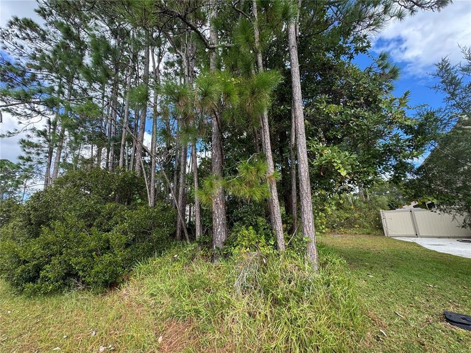 Под контрактом: $79,900 (0.23 acres)