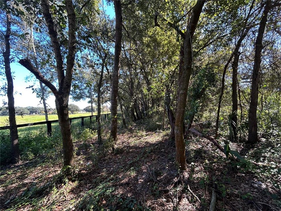 На продажу: $650,000 (5 спален, 3 ванн, 1836 Квадратных фут)