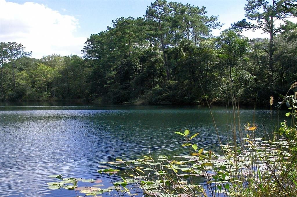 For Sale: $10,000 (0.23 acres)