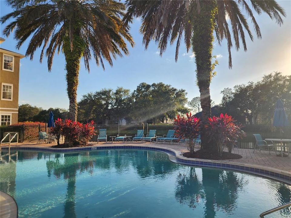 В аренду: $1,340 (1 спален, 1 ванн, 615 Квадратных фут)