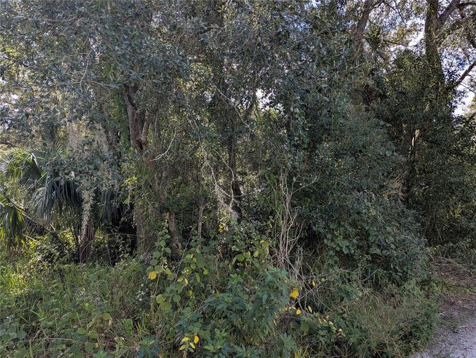 На продажу: $60,000 (0.53 acres)