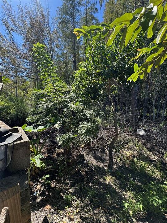 Active With Contract: $445,500 (4 beds, 3 baths, 2317 Square Feet)