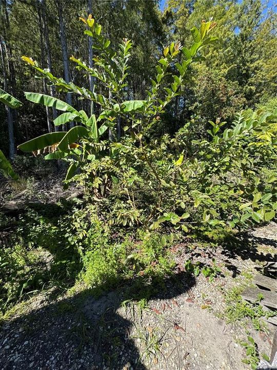 Active With Contract: $445,500 (4 beds, 3 baths, 2317 Square Feet)