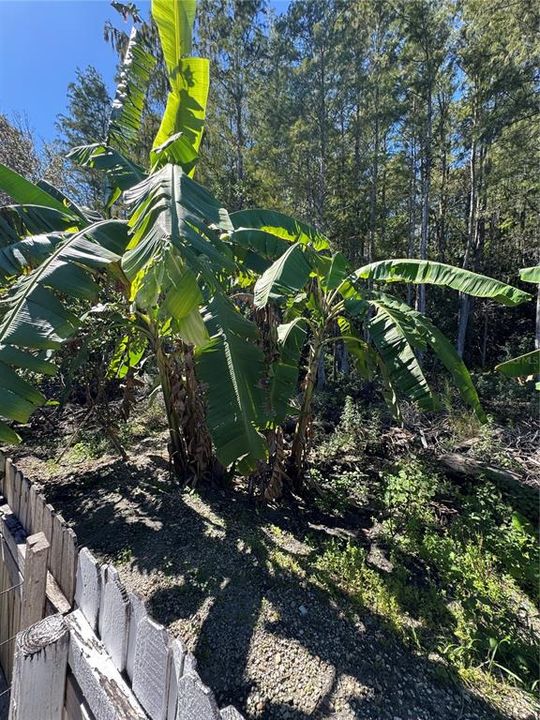 Active With Contract: $445,500 (4 beds, 3 baths, 2317 Square Feet)