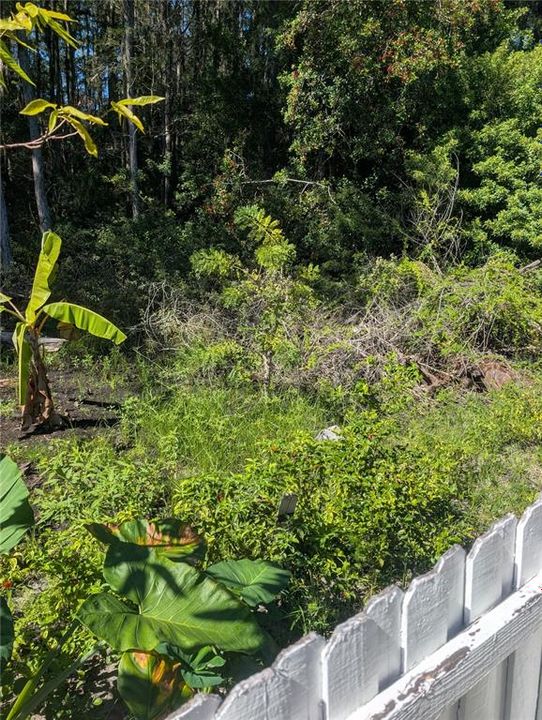 Active With Contract: $445,500 (4 beds, 3 baths, 2317 Square Feet)