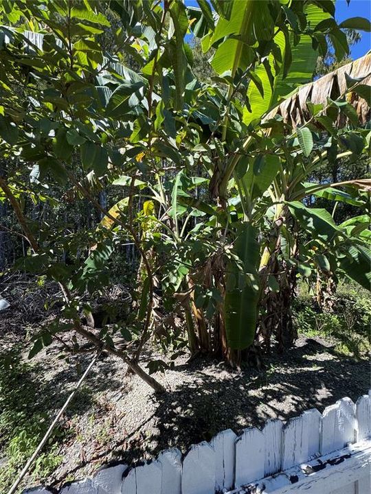 Active With Contract: $445,500 (4 beds, 3 baths, 2317 Square Feet)