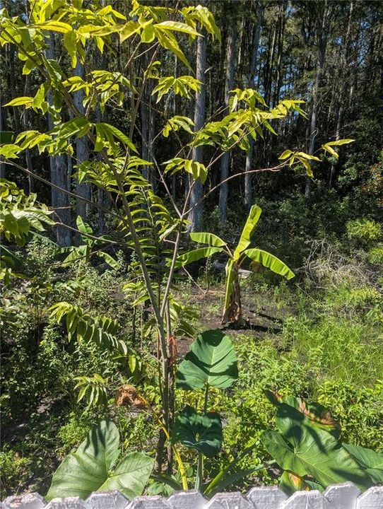 Active With Contract: $445,500 (4 beds, 3 baths, 2317 Square Feet)