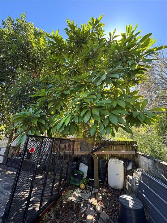 Active With Contract: $445,500 (4 beds, 3 baths, 2317 Square Feet)