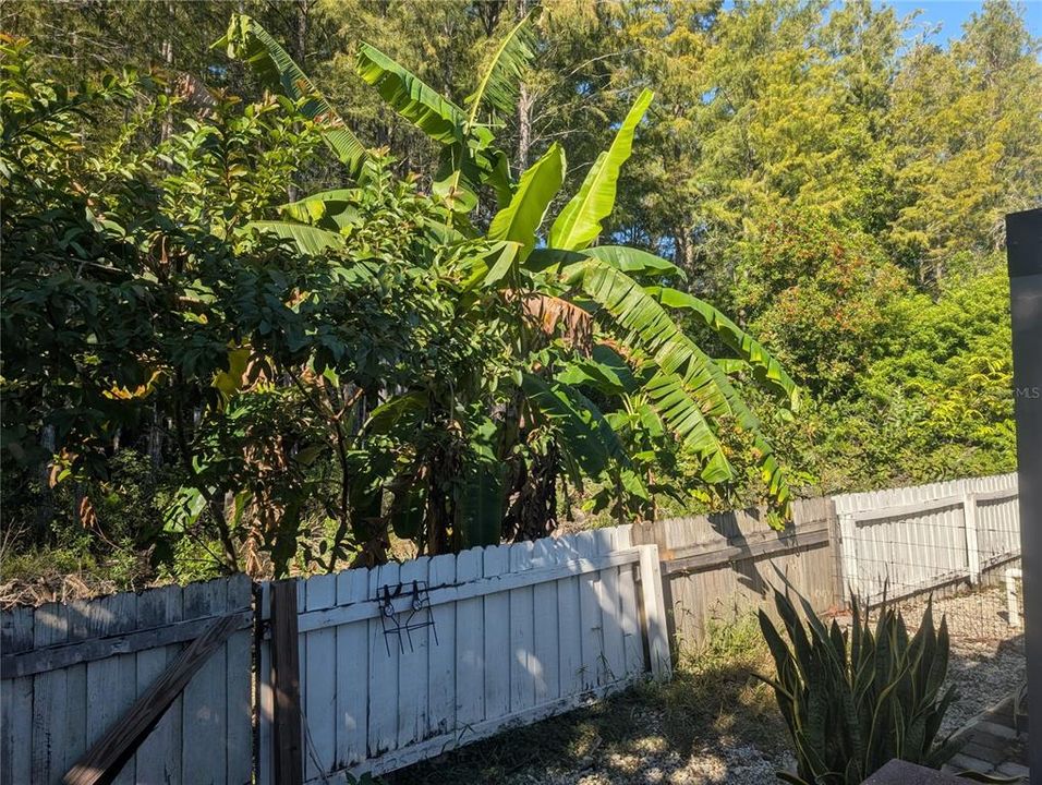 Active With Contract: $445,500 (4 beds, 3 baths, 2317 Square Feet)