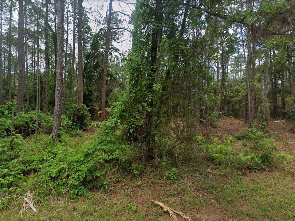 For Sale: $10,000 (0.23 acres)